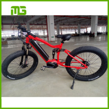 Full Suspension Fat Tire Electric Bicycle with Center Moter